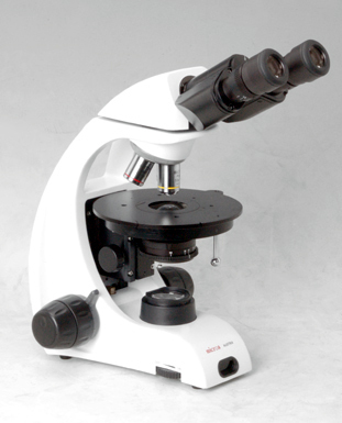 872d1f38-cf36-11ef-9d2e-000c29e1040d