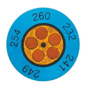 8cce04c0-d3f2-11ef-9d2f-000c29e1040d